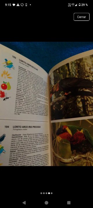 Guía De Aves De Jaula