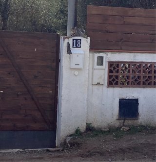 Portón exterior hierro forjado