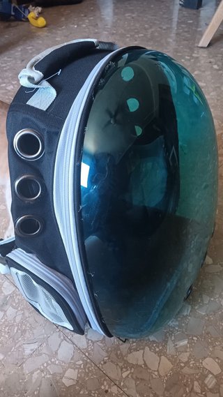 Transportín para mascotas con burbuja