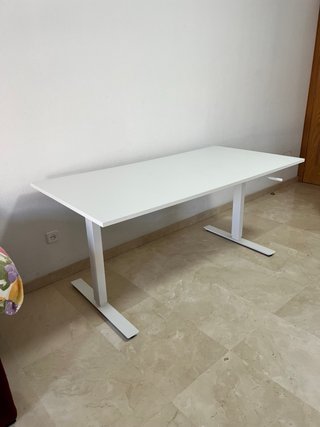 Escritorio elevable Ikea TROTTEN 160x80