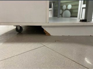 Estantería blanca Royal Canin gatos
