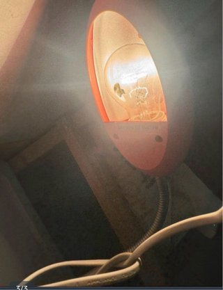Lampada da scrivania Philips rosa