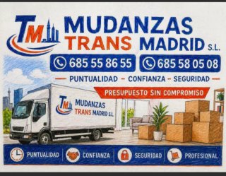 Mudanzas Trans Madrid S L,