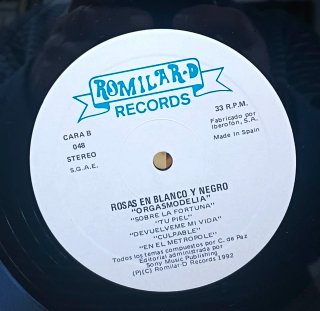 DISCO VINILO ROSAS EN BLANCO Y NEGRO