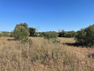 Terreno en venta en Campos