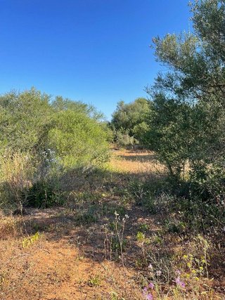 Terreno en venta en Campos
