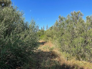 Terreno en venta en Campos