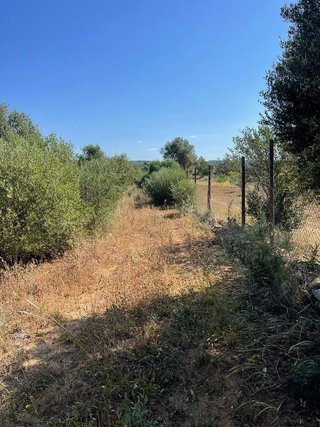 Terreno en venta en Campos