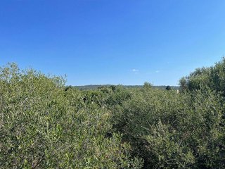 Terreno en venta en Campos