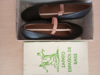 Zapatos Flamenca Profesionales Negros