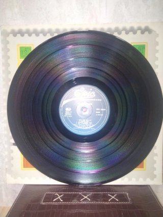 Vinilo LP Tozzi - Canta en Español