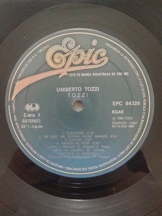 Vinilo LP Tozzi - Canta en Español