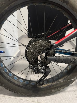 BH Big Bud Fat Bike