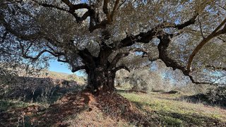 Terreno en venta en Alcalà de Xivert pueblo en Alcalà de Xivert