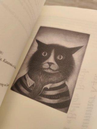La canción de Cazarrabo y gatitos noruegos