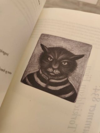 La canción de Cazarrabo y gatitos noruegos