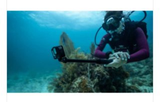 Cámara Deportiva GoPro HERO13 4K