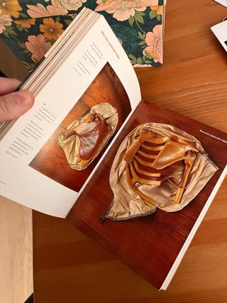 Encyclopaedia Anatomica