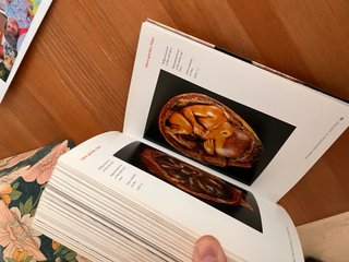 Encyclopaedia Anatomica