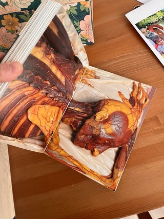 Encyclopaedia Anatomica