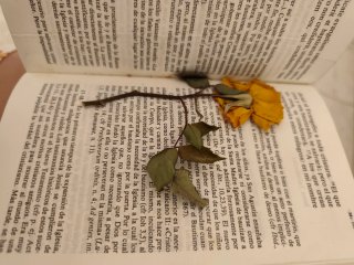 Sagrada Biblia