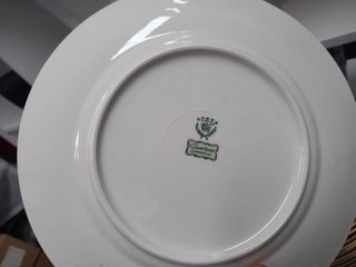Set porcellana fine oro e bianco