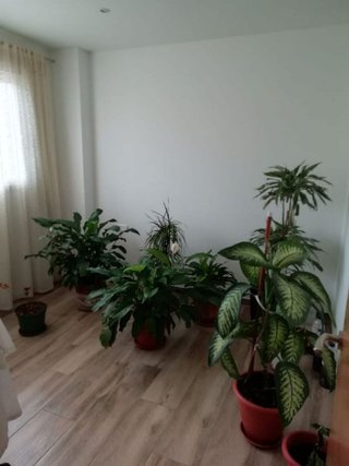 Local comercial en venta en Can Borrell - La Plana de Lledó en Mollet del Vallès
