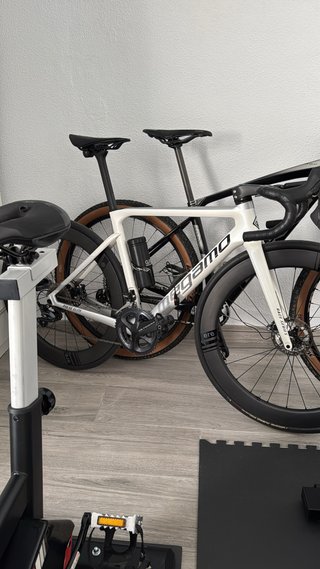 Megamo Pulse Elite