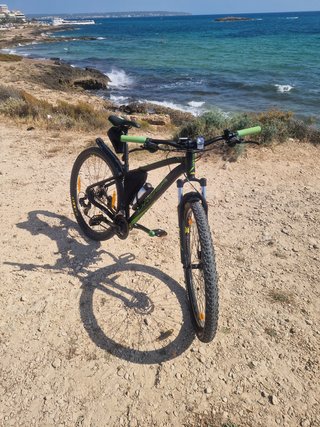 Bicicleta Orbea MX-29 Montaña