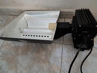 Foco Solux
