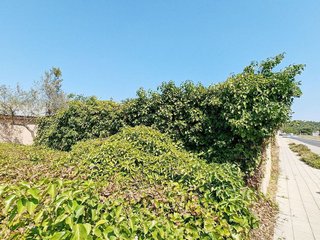 Local comercial en venta en Ulldecona
