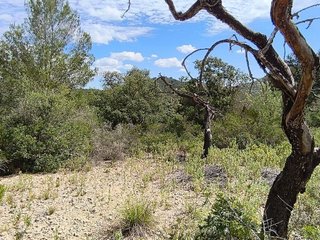 Terreno en venta en Algaida