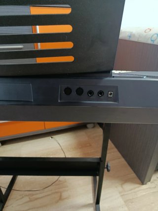 Órgano Casio Casi Nuevo