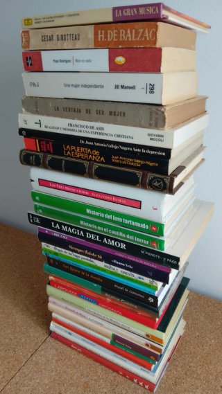 LOTE 30 LIBROS