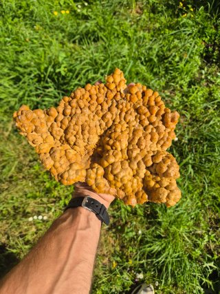 Calcita Botroidal Euskadi