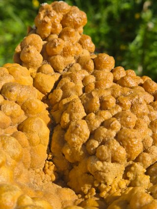 Calcita Botroidal Euskadi