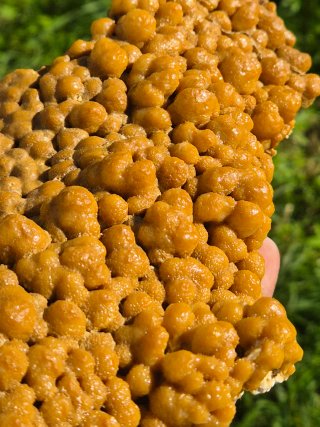 Mineral Calcita Botroidal de Euskadi