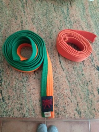 Cinturones de Yudo LAGUNA Verde/Naranja