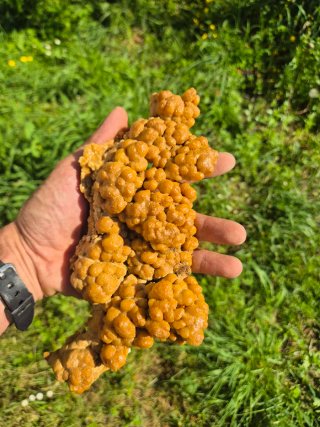 Calcita Botroidal Euskadi