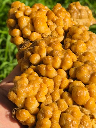 Calcita Botroidal Euskadi