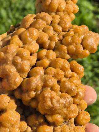 Calcita Botroidal Euskadi