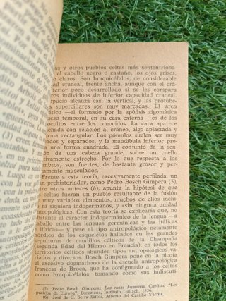 Los celtas y sus mitos