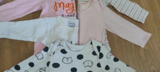 Lote 5 bodys bebé 12-18m
