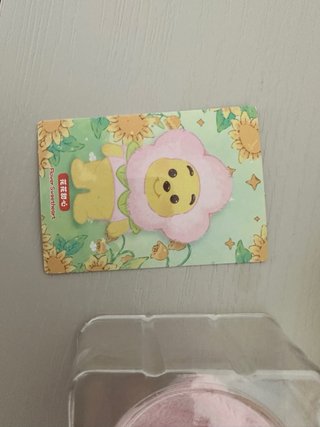 Miniso Touching Garden Blind Box Winnie The Pooh