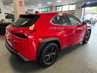 Lexus UX 2.0 250h Business