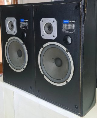 Casse Pioneer CS-343
