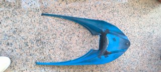 Carenado frontal