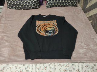 Sudadera Cincinnati Bengals AFC Central