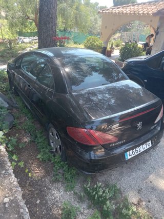Peugeot 307 2004