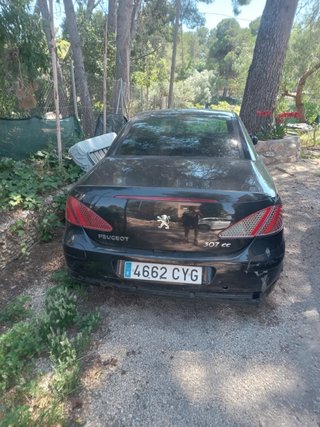 Peugeot 307 2004